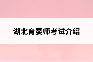 湖北育婴师考试介绍