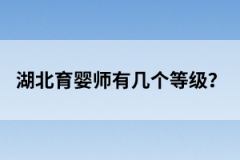 湖北育婴师有几个等级？