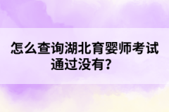 怎么查询湖北育婴师考试通过没有？
