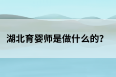湖北育婴师是做什么的？