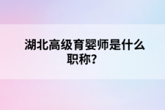 湖北高级育婴师是什么职称？